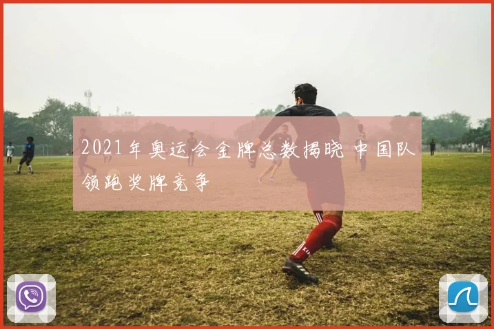 2021年奥运会金牌总数揭晓 中国队领跑奖牌竞争